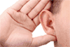 ear