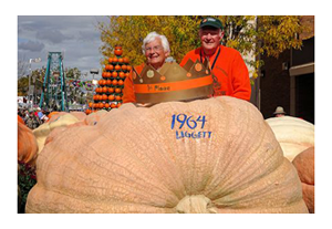 pumpkin