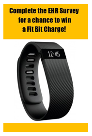 fidbit