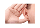 ear